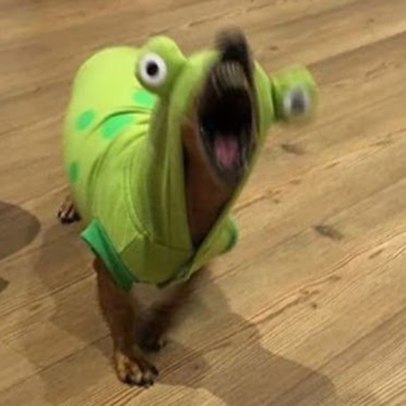 thumpybumpy